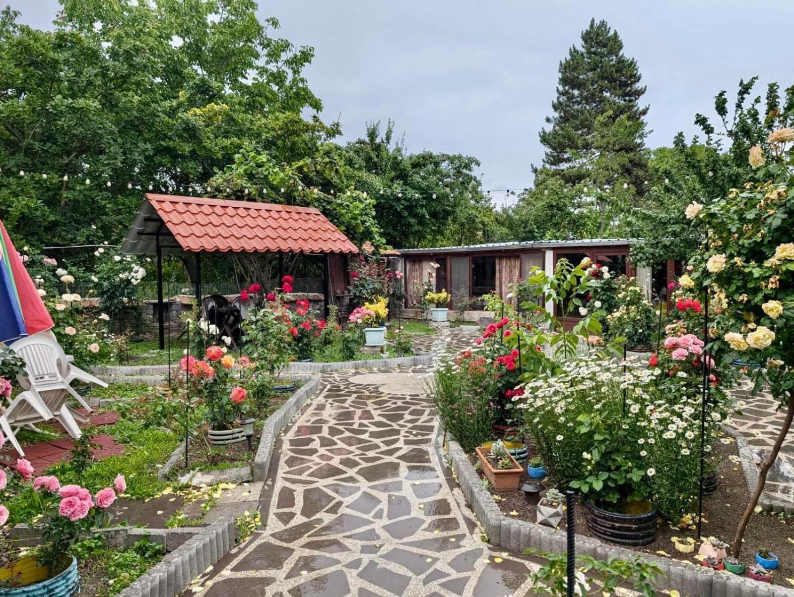 Artist'S House Hotel Tetritskaro Eksteriør billede